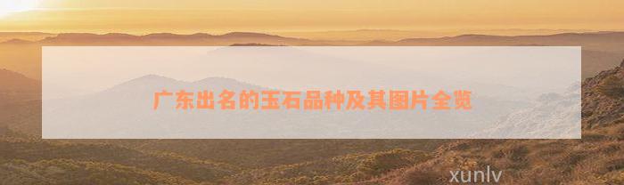 广东出名的玉石品种及其图片全览(图1)