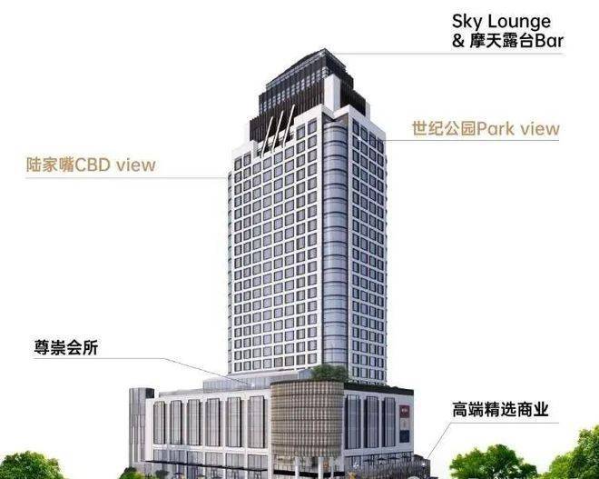 霸道二手车是属于什么类别？(图6)
