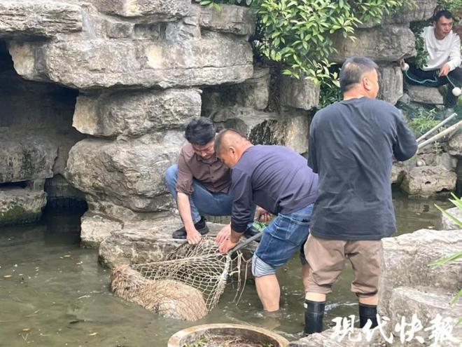 PARK699柏舍公寓-享受陆家嘴“都市绿核+金融芯”的顶配生活(图14)