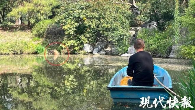 PARK699柏舍公寓-享受陆家嘴“都市绿核+金融芯”的顶配生活(图15)