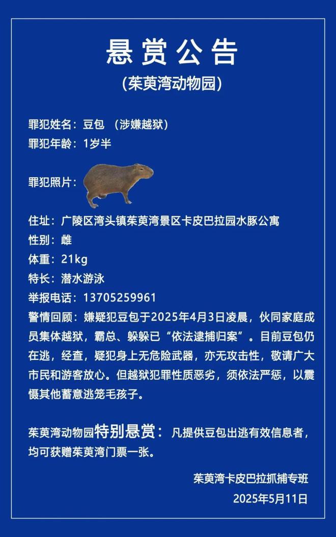 PARK699柏舍公寓-享受陆家嘴“都市绿核+金融芯”的顶配生活(图12)