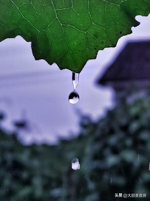 今年梅雨时间表来了“入梅时间已定”2025年雨水多吗？早了解(图4)