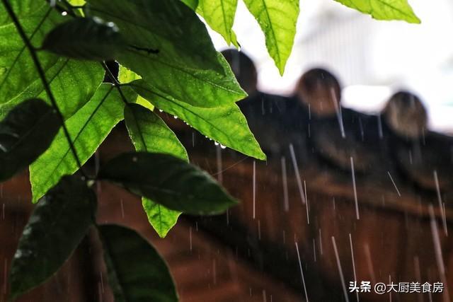 今年梅雨时间表来了“入梅时间已定”2025年雨水多吗？早了解(图2)