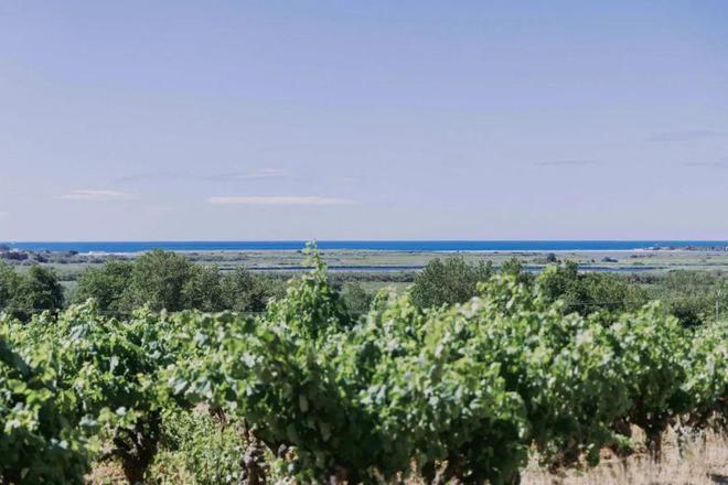 白葡萄酒逆袭！这10个趋势正在改写行业规则(图2)