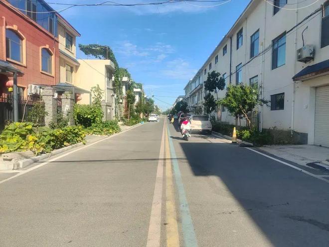 辉县这个村“久久公益”两年答卷：修了3条暖心路更暖的是…(图2)