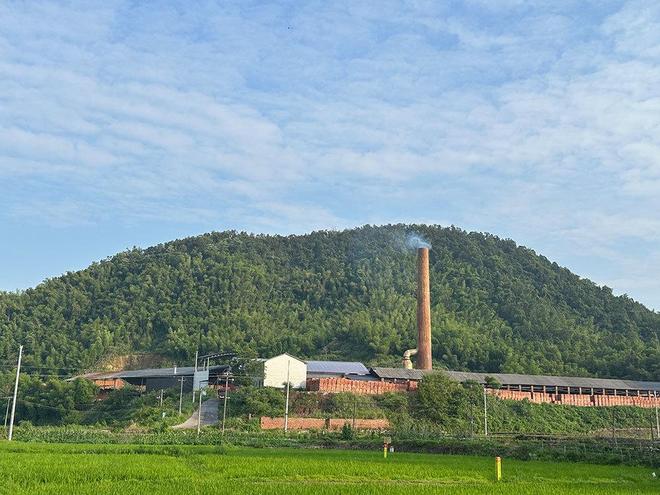 5名疑似智障人员从砖厂被解救临湘警方：暂未发现其他智障者(图2)