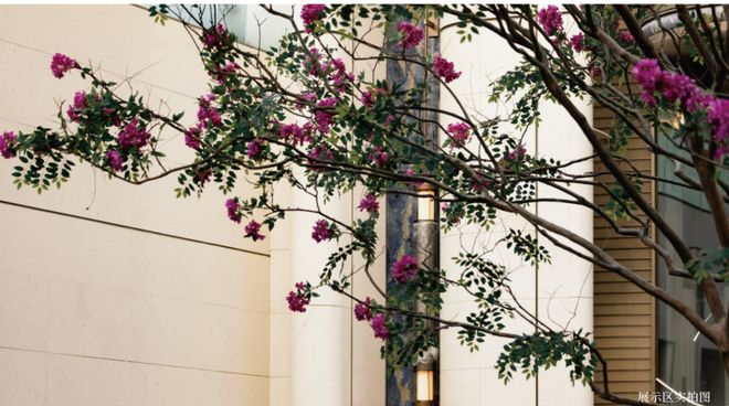 ◈海上·清和玺售楼处徐汇海上·清和玺发布：生态家园氛围(图16)