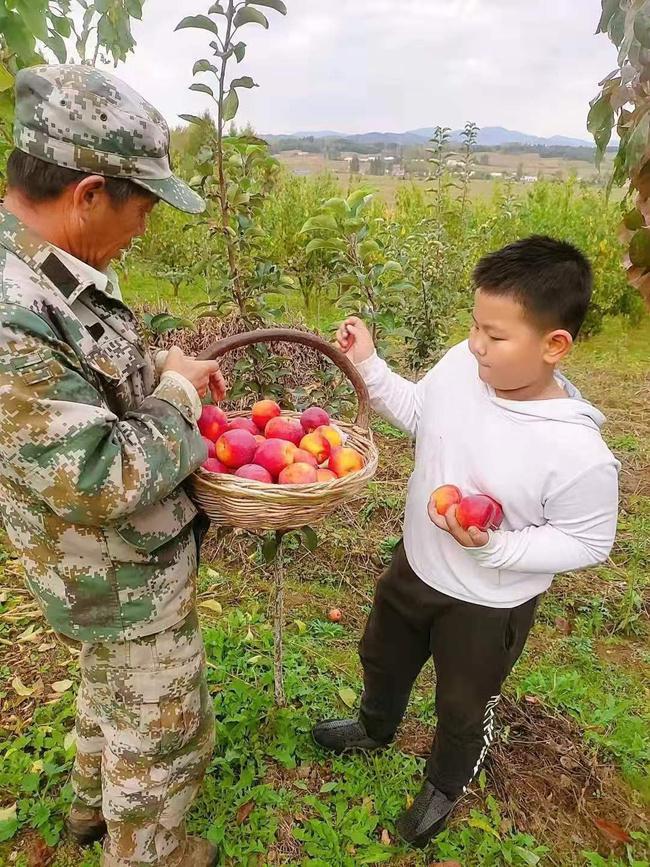 从“山间果香”到“产业繁花”——蛟河市天岗镇窝集口村鲜果产业发展小记(图2)