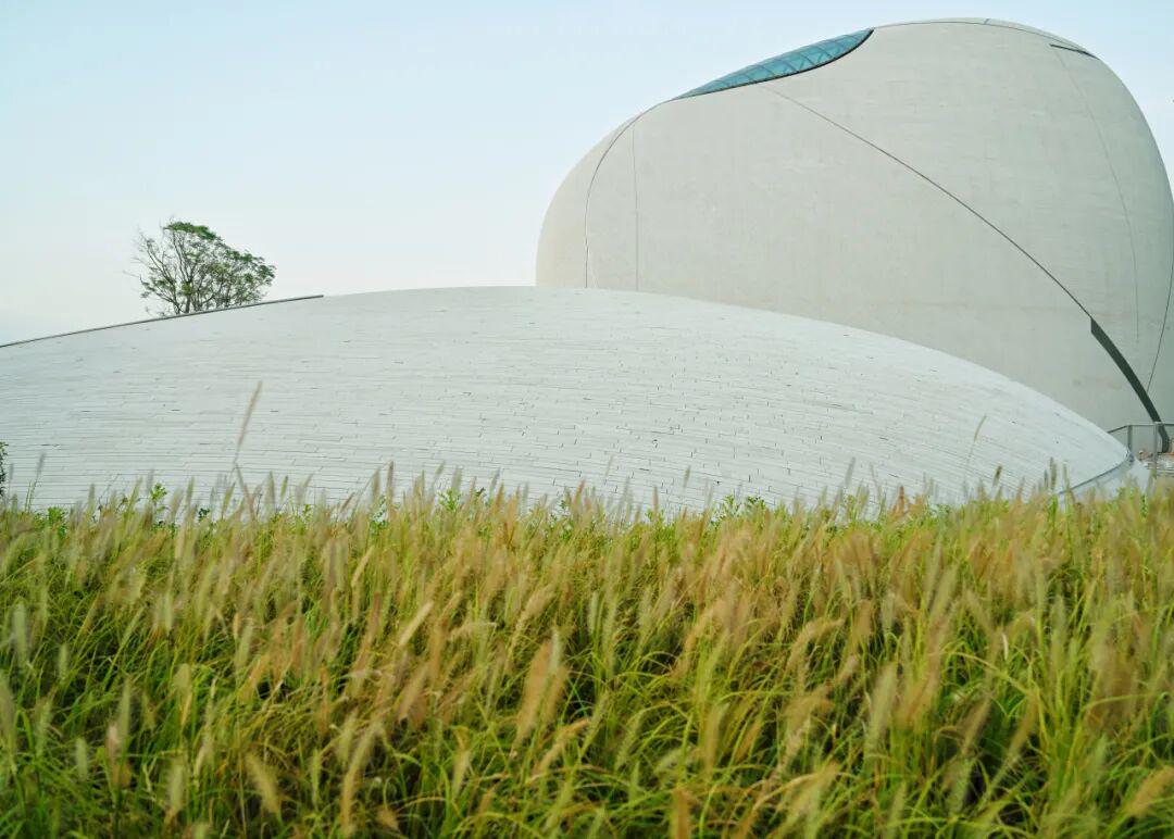 惊艳了！深圳新地标外立面今日落成(图4)