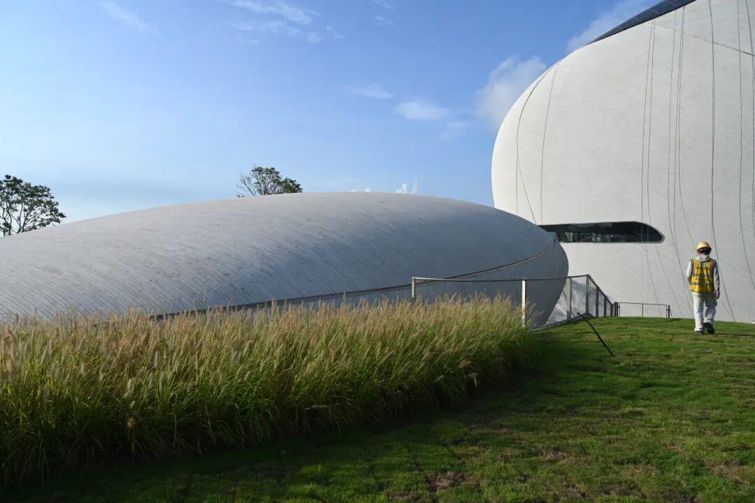 惊艳了！深圳新地标外立面今日落成(图12)