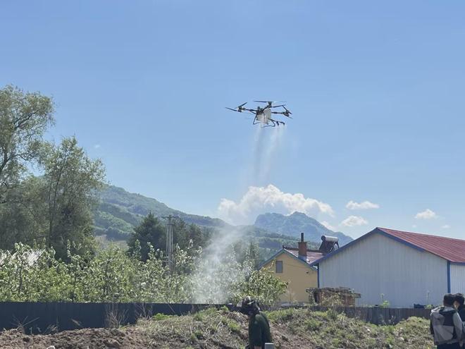 从“山间果香”到“产业繁花”——窝集口:以果为媒书写振兴答卷