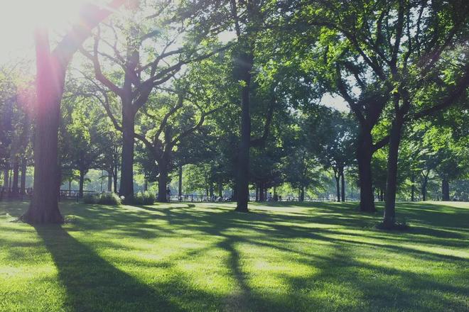 十月双节百度热搜@大华公园柏翠售楼处电话：顶奢生活之选(图13)