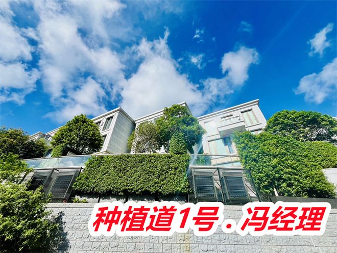 香港种植道1号豪宅怎么样产权地契多少年是精装吗销售情况(图4)