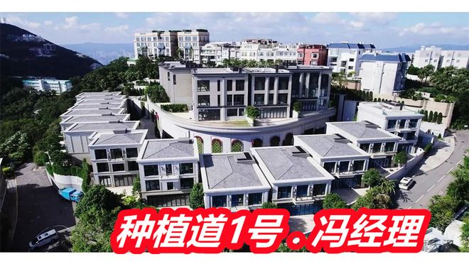 香港种植道1号豪宅怎么样产权地契多少年是精装吗销售情况(图2)