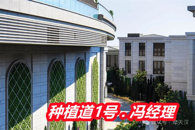 香港种植道1号豪宅怎么样产权地契多少年是精装吗销售情况(图3)