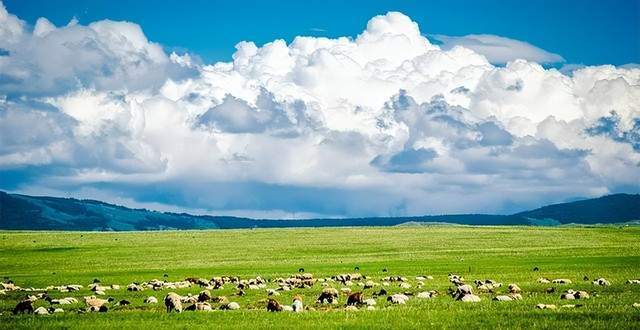 赚到了！油田和煤田下居然有铀中国终于摘掉了“贫铀”的帽子(图13)