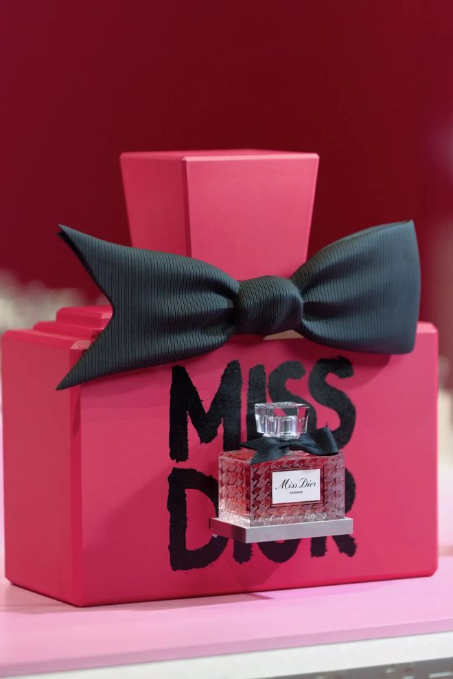 迪奥小姐青春与自由的不朽象征(图11)