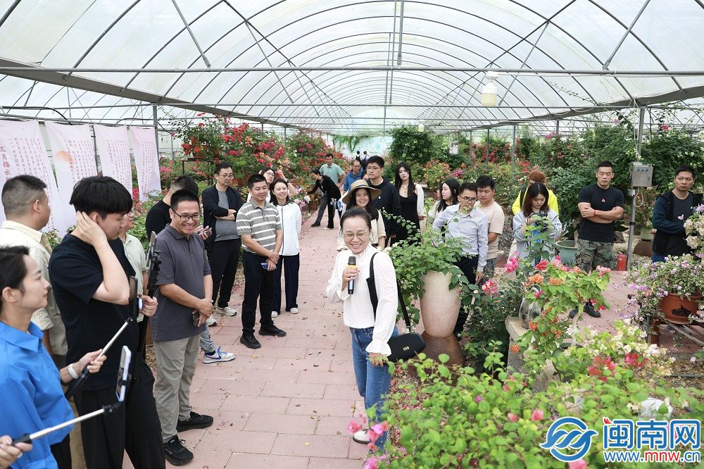 “福农优品・我在家乡等你来”网络直播活动走进厦门同安(图6)