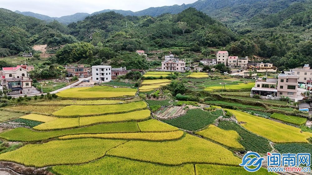 “福农优品・我在家乡等你来”网络直播活动走进厦门同安(图8)