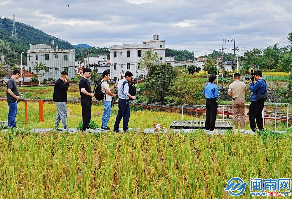 “福农优品・我在家乡等你来”网络直播活动走进厦门同安(图9)