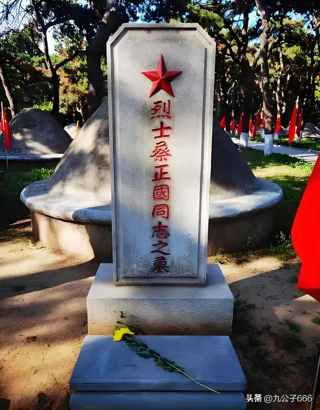 沈阳抗美援朝烈士陵园的精神传承(图9)