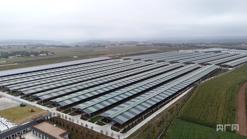 【平凉:举城竞进何以为之?②】现代精品农业何以为进?