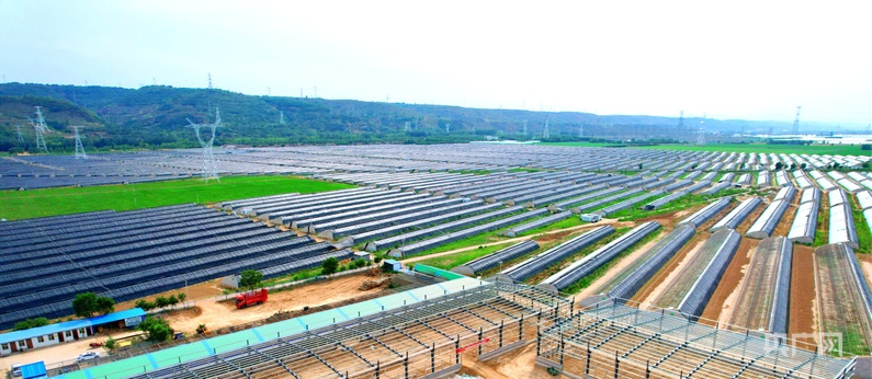 【平凉：举城竞进何以为之？②】现代精品农业何以为进？(图4)