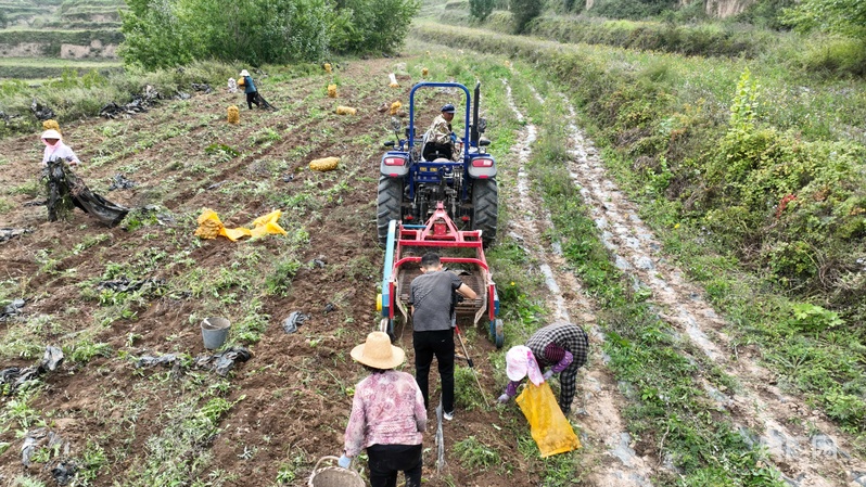 【平凉：举城竞进何以为之？②】现代精品农业何以为进？(图8)