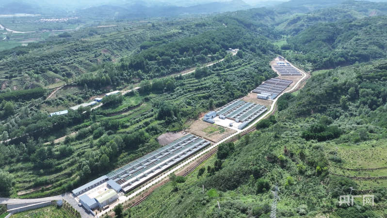 【平凉：举城竞进何以为之？②】现代精品农业何以为进？(图7)