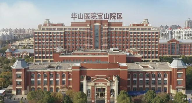 宝山南大中环置地中心-望雲售楼处！中环旁品质住区！(图23)