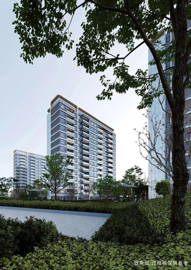 闵行热盘安高申陇院：170㎡四房引爆改善需求双泳池会所成现象级(图5)