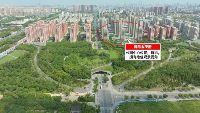 普陀金茂府-2025新盘-高端改善-户型配套(图27)