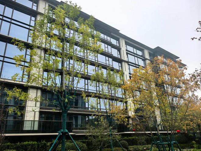 又一个千万豪宅刚刚交付现场实探来了！(图2)