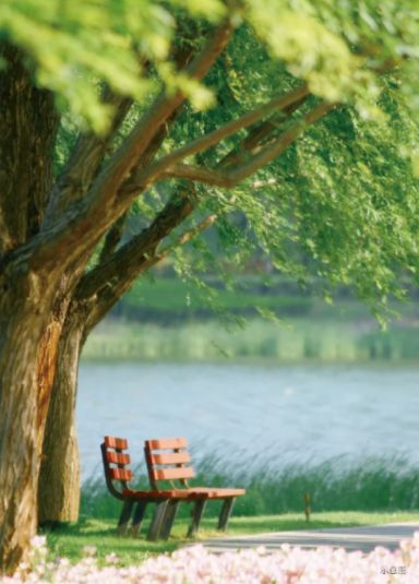 发布！西郊云庐售楼处发布：长宁西郊云庐品质性价比标杆!(图2)