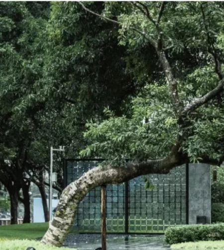 发布！西郊云庐售楼处发布：长宁西郊云庐品质性价比标杆!(图4)