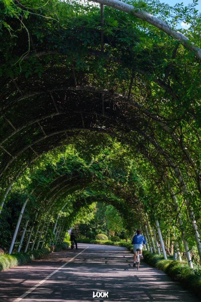 发布！西郊云庐售楼处发布：长宁西郊云庐品质性价比标杆!(图11)