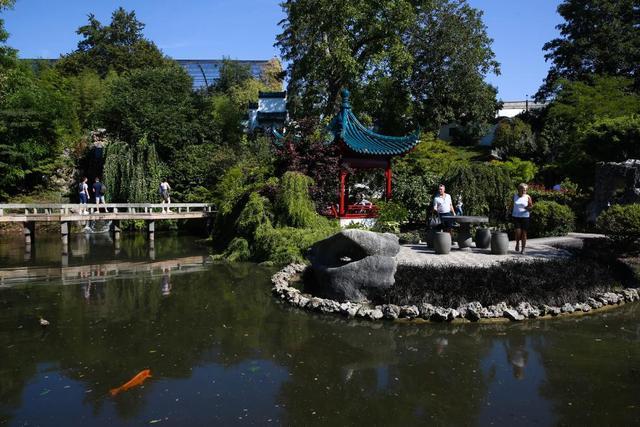 旅比大熊猫“守护者”埃里克·董博:打开感知中国之门