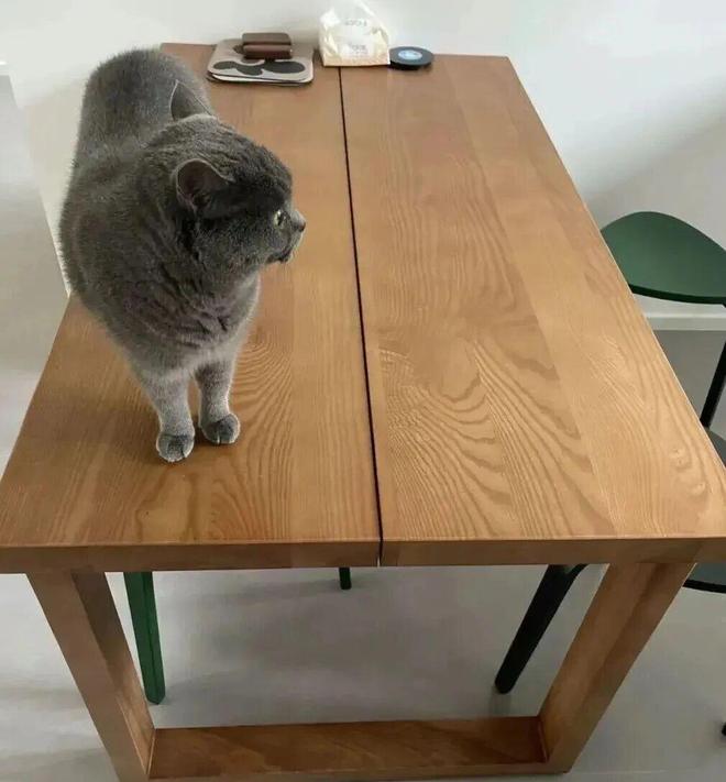 这8种餐桌已被淘汰建议大家别再买搬回家也没用(图16)