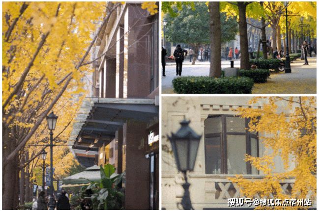 热搜好房古北99售楼处发布：上海古北99别墅以稀缺续传奇!(图29)