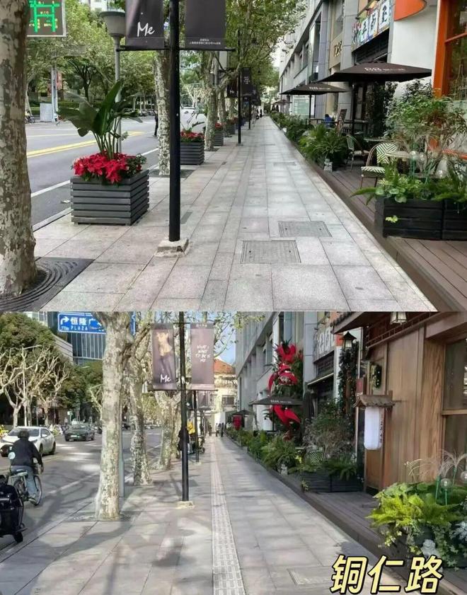 静安盲道“焕新”30公里这条城市“导航线”正在全面升级