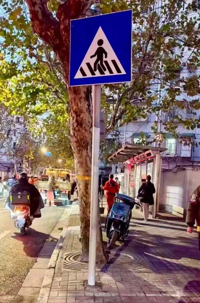 静安盲道“焕新”30公里这条城市“导航线”正在全面升级(图4)