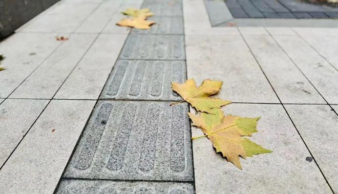 静安盲道“焕新”30公里这条城市“导航线”正在全面升级(图6)