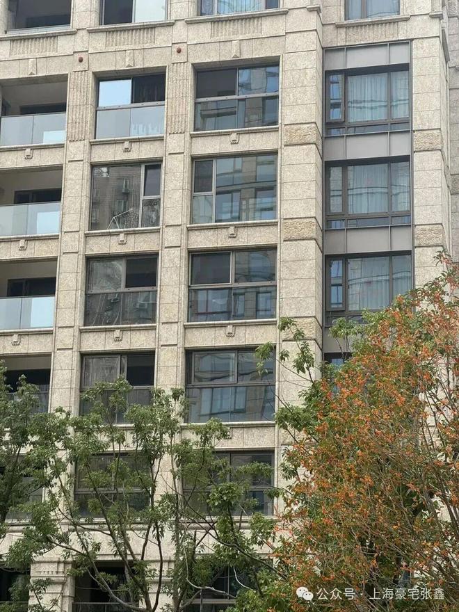 发布♐新湖青蓝国际售楼处最新发布：匠心品质铸就人居传奇(图13)