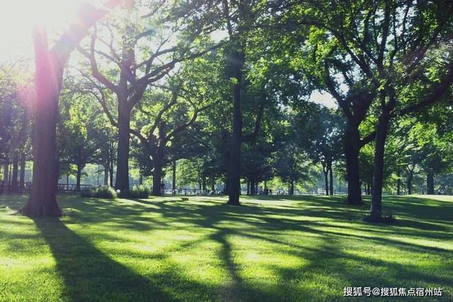 聚焦大华公园柏翠售楼处发布：公园柏翠以匠心铸就经典!(图7)