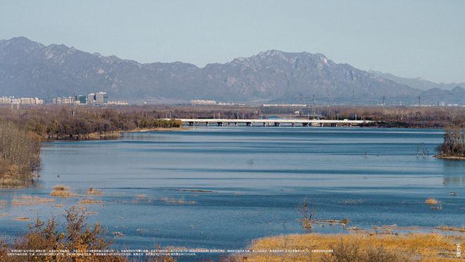 保利·颐璟和煦（）@实景呈现·质感与细节@售楼处@北京房天下(图8)
