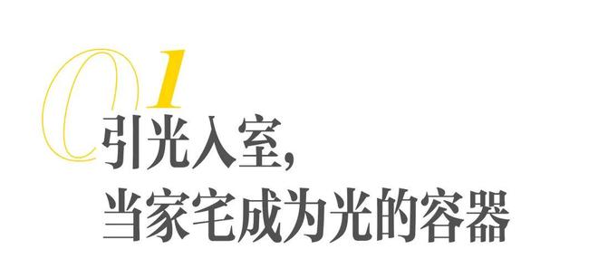 佛修十年她住进了“光”里