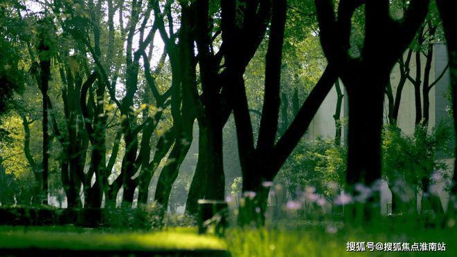 推荐✍静安叠翠苑售楼处电话丨叠翠苑网站_上海房天下！(图6)