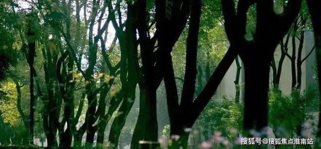 推荐✍静安叠翠苑售楼处电话丨叠翠苑网站_上海房天下！(图14)