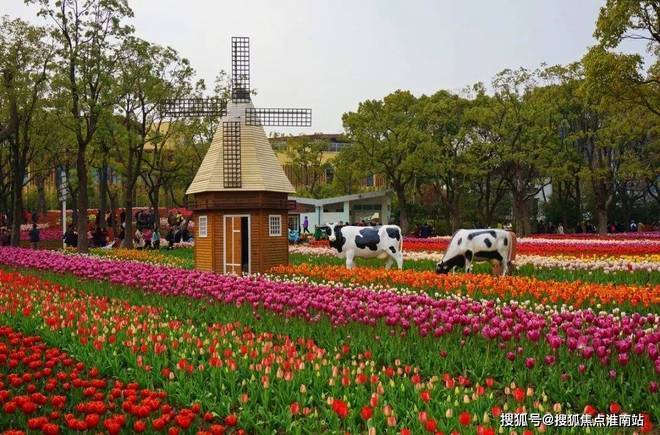 推荐✍静安叠翠苑售楼处电话丨叠翠苑网站_上海房天下！(图22)