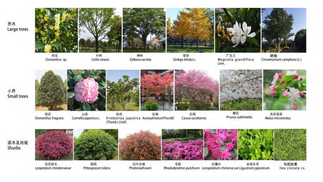 古北悦公馆(古北悦公馆)首页网站--2024年最新价格户型(图10)